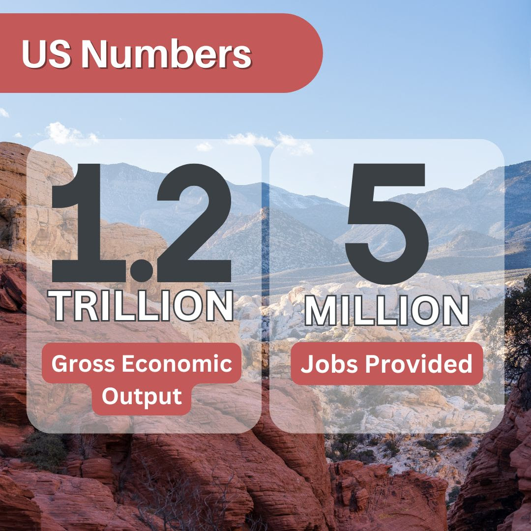 US numbers | December 2024 newsletter