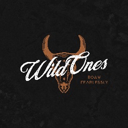 Wild Ones Collective LLC
